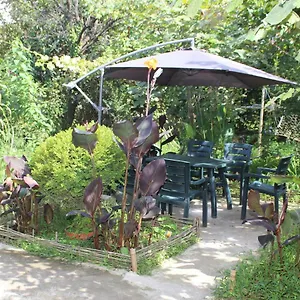 https://guest-house-barbi.batumihotels.net